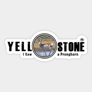 I Saw a Pronghorn, Yellowstone National Park Sticker